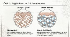 Bağ Dokusu ve Cilt Gençleşmesi
