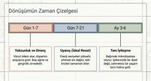 Dönüşümün Zaman Çizelgesi